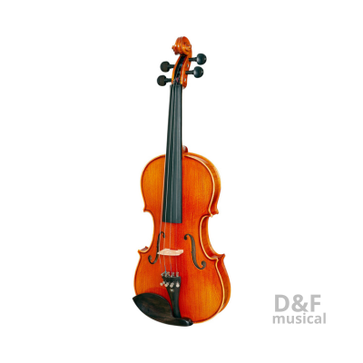 instrumento-de-cordas